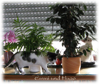 Emmi und Hugo