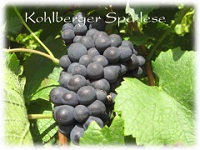 Kohlberger Sp&auml;tlese